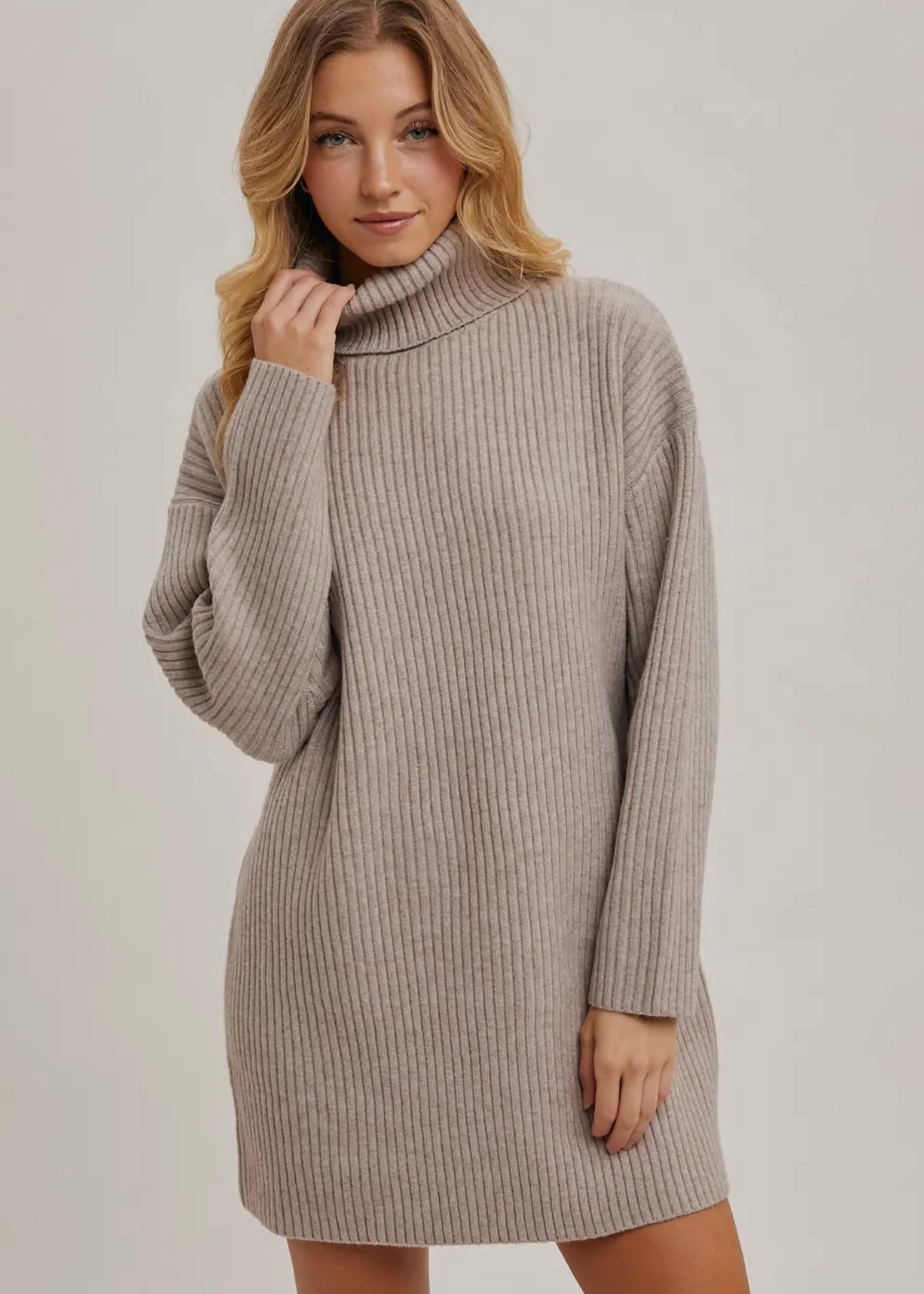 Turtle Neck Knit Sweater Dress