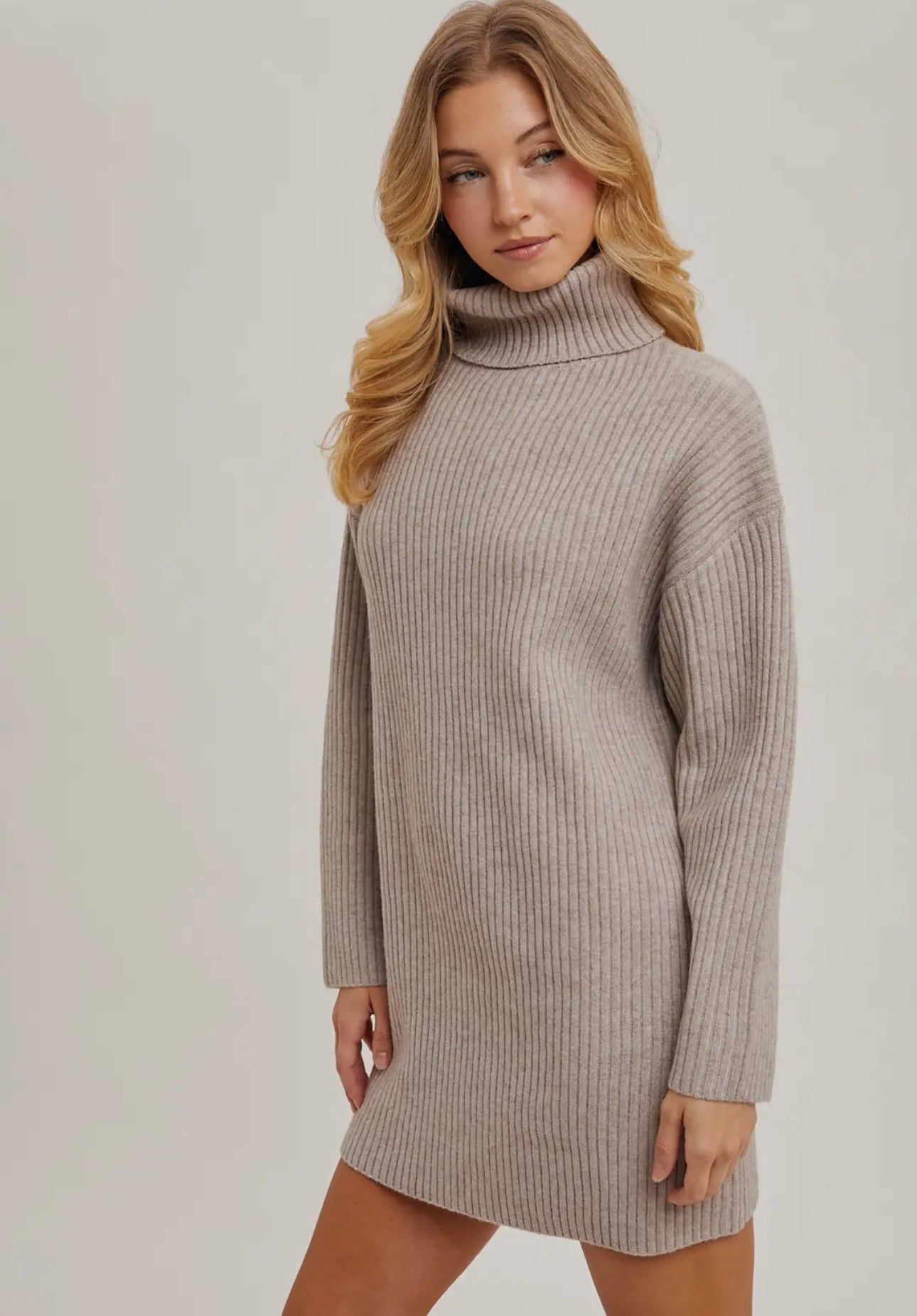 Turtle Neck Knit Sweater Dress