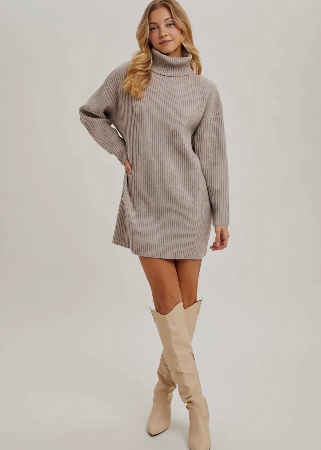 Turtle Neck Knit Sweater Dress